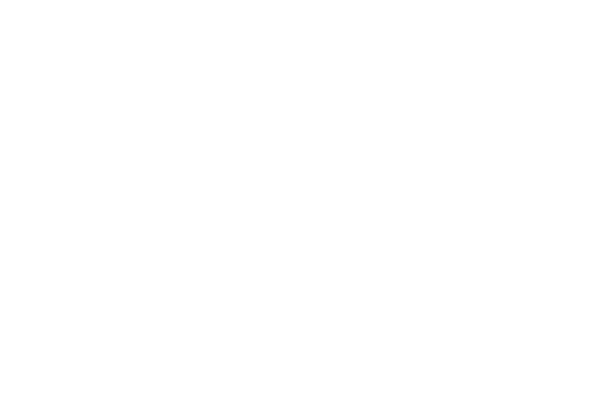 Game of the Year Game of the Year, IGDN WINNER
